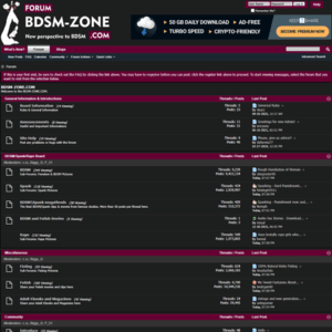 BDSM Zone