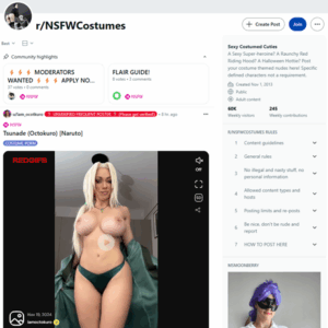 Reddit NSFW Costumes